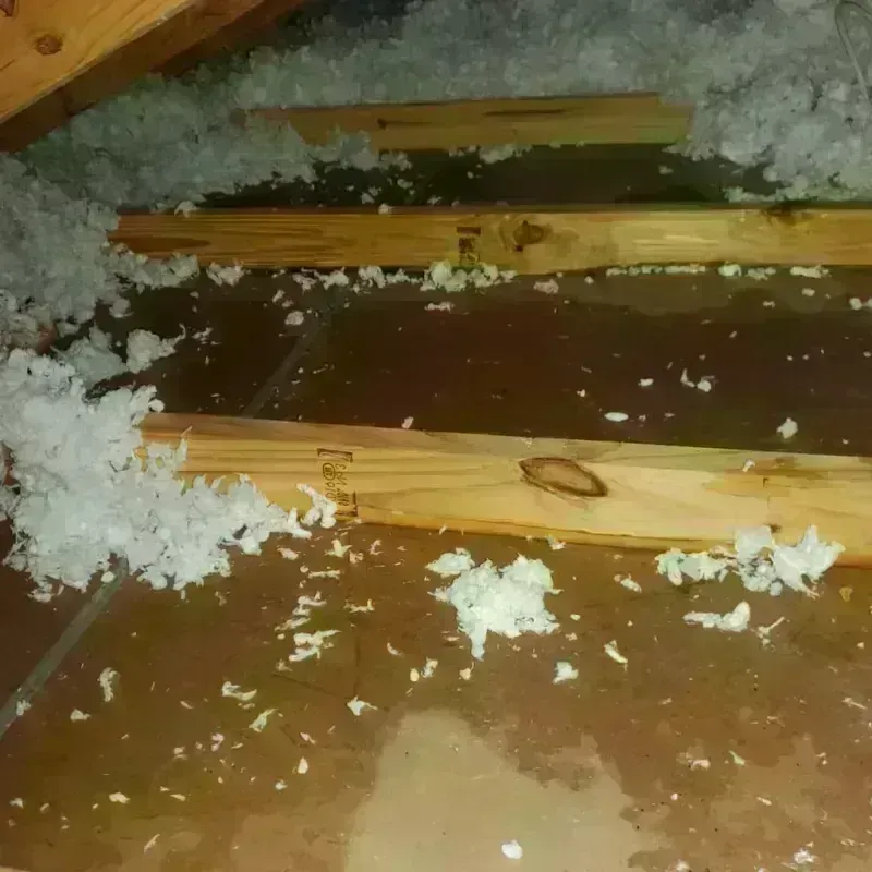 Attic Water Damage in Stowe, VT